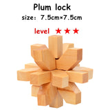 Classic 3D Wooden Puzzle Lock Toys Cube Game Model Kit Design IQ Brain