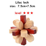 Classic 3D Wooden Puzzle Lock Toys Cube Game Model Kit Design IQ Brain